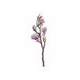 thumbnail image 1 of Magnolia Large Spray Purple Pink, 1 of 1
