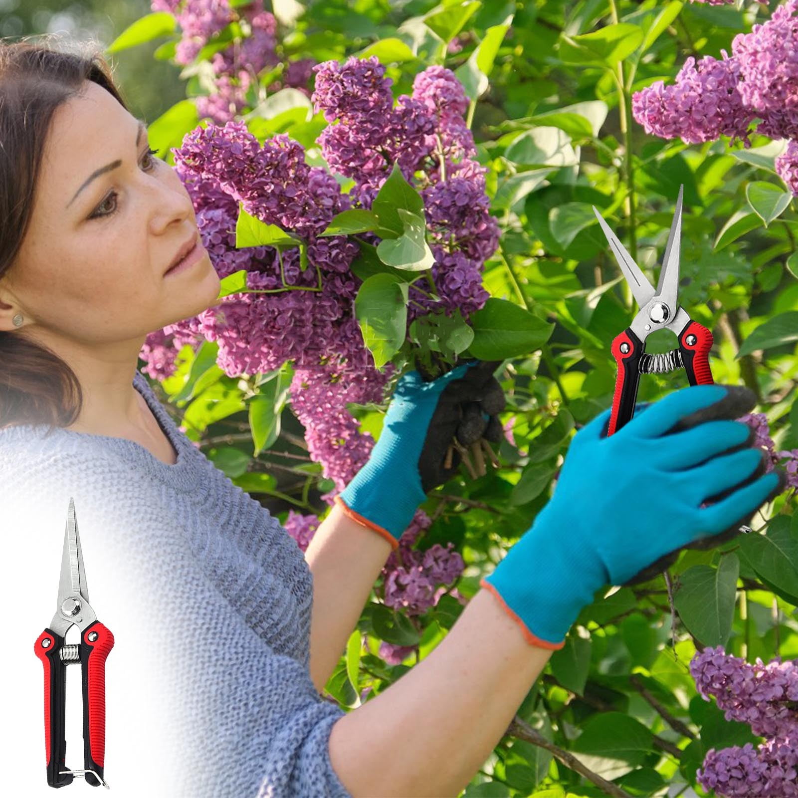 PRETXORVE Garden Pruning Shears Stainless Steel Fruit Pruning Shears Picking Fruit Scissors Pointed Tip Pruning Shears