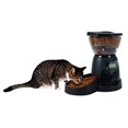 thumbnail image 2 of Aspen Lebistro Programmable Dog Food Dispenser, 2 of 4