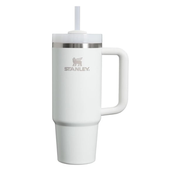 Stanley Quencher H2.0 Tumbler with Handle and Straw 30 oz | Insulated Stainless Steel Cup | BPA-Free | Frost