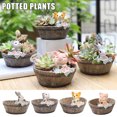 thumbnail image 1 of Résine Miniature de Style Rural Plantation Pot avec Mignon Dessin Animé Animal Succulent Pot de Fleurs Micro Décorations de Paysage, 1 of 7