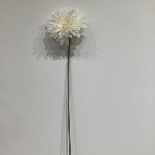 Fleur Artificielle de GERBERA Blanc avec une Longue Tige Verte Simple et une Floraison Ronde Complète de Pétales Blancs Superposés avec un Centre Jaune Subtil, Exposée sur un Fond Clair Uni, Idéale pour la Déco de la Maison et les arrangements Floraux Artificiels.