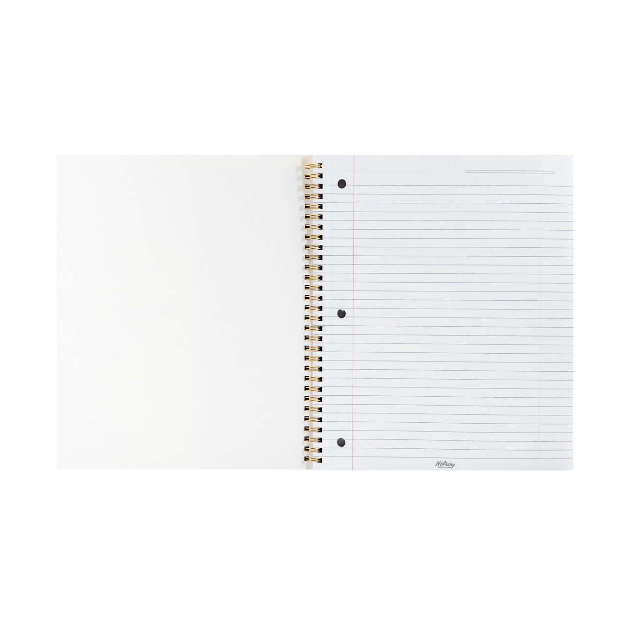 Hilroy Coloured Hearts Cahier