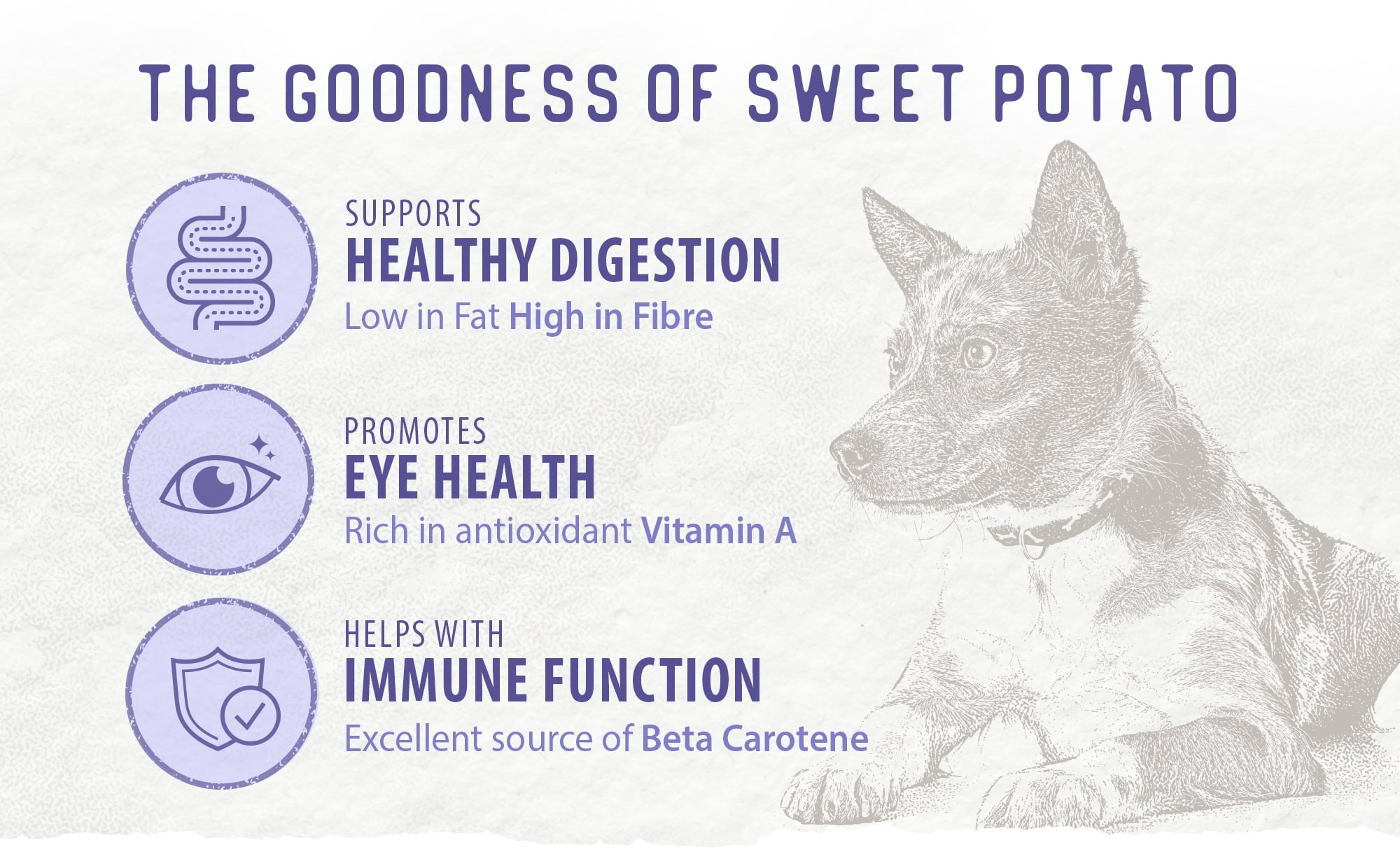 Caledon Farms Sweet Potato Chews Super Value Pack dog treats 1140 grams