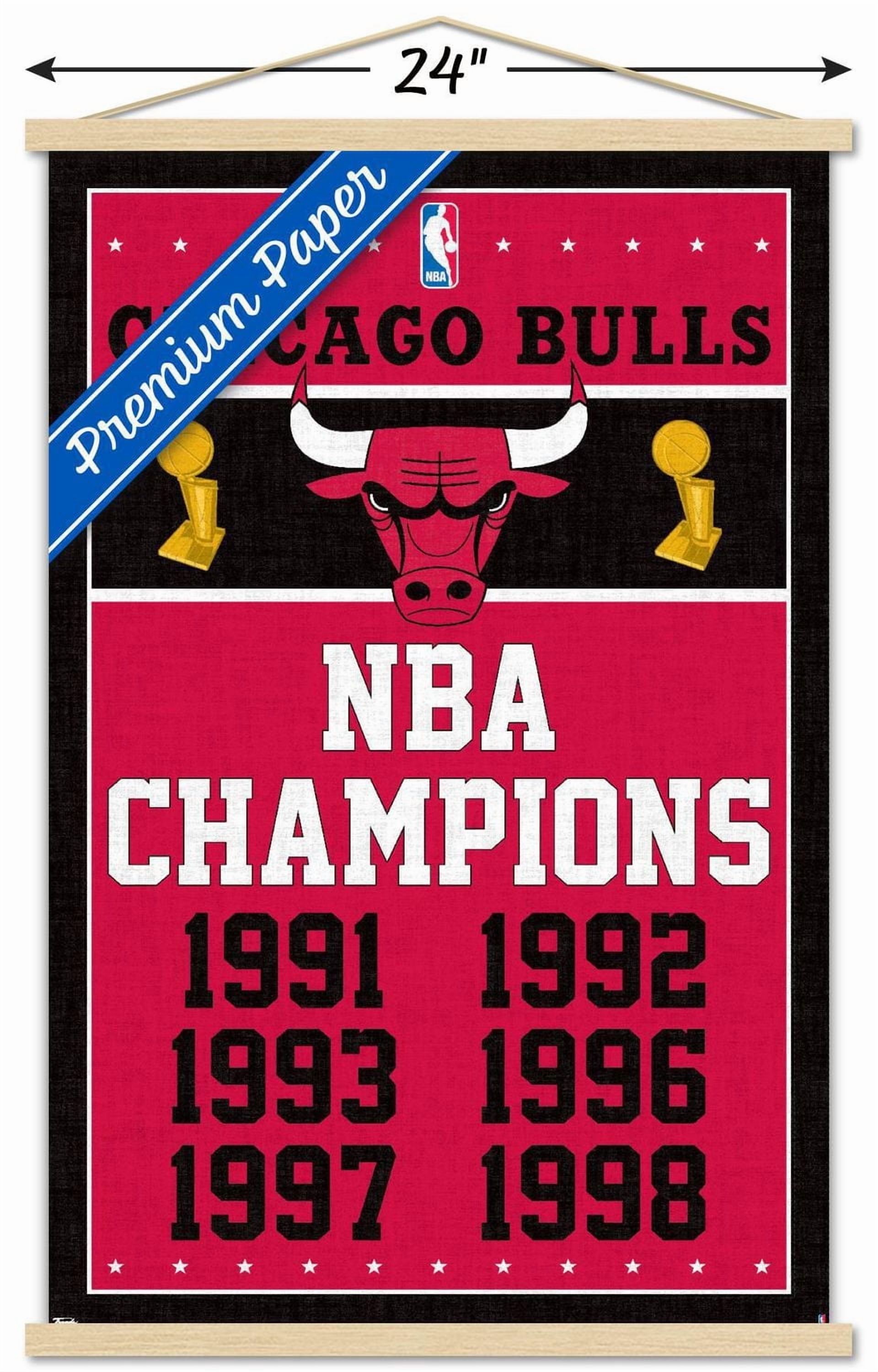 NBA Chicago Bulls - Champions 13 Wall Poster with Magnetic Frame, 22.375" x 34"
