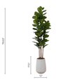 thumbnail image 5 of Feuille de figuier en pot 4 tiges, 5 of 5