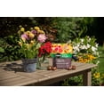 thumbnail image 4 of Miracle-Gro Organics Bone Meal 4-10-0 1.36kg, 4 of 6