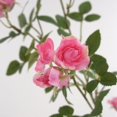 thumbnail image 3 of TopLLC Artificial Flowers, Fake Flowers Artificial Flowers Long Small Roses Modern Living Room Decorations Table Flowers Flower Arrangements Artificial Flower Bouquets Fake Roses, 3 of 3