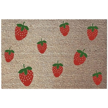 Dvkptbk Tapis de Porte Tapis de Sol d'Été Tapis de Porte Paillasson Extérieur Déco de Classe Tapis de Bienvenue pour Enseignant pour Usages Extérieurs et Intérieurs, Déco Maison, 16x24 Po Déco Maison en Liquidation