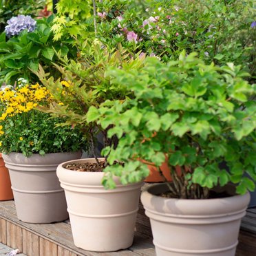 mmirethe 1/2/3/5 Garden Pot Is Firm And Durable- Terracotta Flower Pot Not Easy To Deformation Plastic Flower Pots brownness 22.8*15*20.6cm 320g 1 Pc