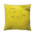 thumbnail image 2 of Ahgly Company Color Focus Yellow Coussin Décoratif d'Extérieur, 18 Po X 18 Po, 2 of 6