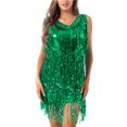 thumbnail image 1 of Aiihoo Robe de Danse Salsa Latin Tango Cha-Cha pour Femme, Robe Charleston à Paillettes et Franges, Costume de Salle de Bal Vert TG, 1 of 8