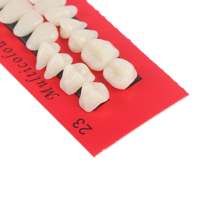 Ensemble de 28 Pcs Modèle de Dents en Résine Réaliste pour Dentiers Simples, Durables et Imperméables, Universel, Léger, Fausses Dents, Modèle de Fausses Dents