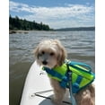 thumbnail image 3 of LifeBarker Waterproof Pet Life Jacket, Adjustable Straps and Buckles for Safe Aquatic Adventures, Neon Green, Large, 3 of 6
