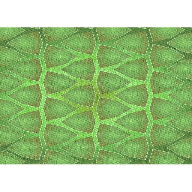 Ahgly Tapis Rectangulaire Lavable en Machine Intérieur Transitionnel Vert Lime Foncé, 3 Pieds x 5 Pieds