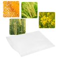 thumbnail image 3 of 100Pcs Jardin Pollinisation Parchemin Sacs Plante Fleur Isolation Sac de Protection Pollinisation Sac, 3 of 7