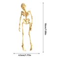 thumbnail image 2 of Rrppepioner Halloween Decorations,Poseable Skeleton Fridge Magnet Halloween Printed Articulated Skeleton with Movable Joints Skull Magnet Fridge Sticker for Kitchen office Or Locker Decor Home Decor, 2 of 2