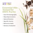 thumbnail image 3 of AURA(tm) Cacia 55305 Sweet Almond Oil, 3 of 5