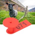thumbnail image 4 of Ear Tag Label, Frost-resistant Numbered Ear Tag, Cold-resistant Livestock Accessory For Sheep Breeding Stocks Livestock Meat Quarantine Red, 4 of 8