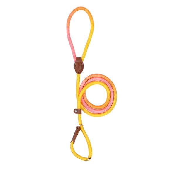 TIELUTT Strap Nylon Traction Rope | Adjustable Pull Strap Suitable for Outdoor Activities German Accessories Miniature Pinscher Accessories for Small Dogs Accessories for Puppies Greyhound Dog Accesso
