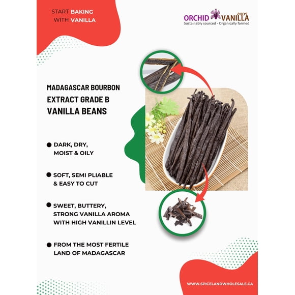 Madagascar Extract Grade Vanilla Beans Grade B - 25 Beans for Homemade Vanilla Extract