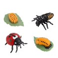 thumbnail image 2 of Agiferg Simulation Arthropod Life Cycle of a Spider Bee Ladybugs Model, 2 of 3