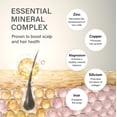 thumbnail image 2 of Keune Care Keratin Smooth Shampoo 10.1 Oz, 2 of 5