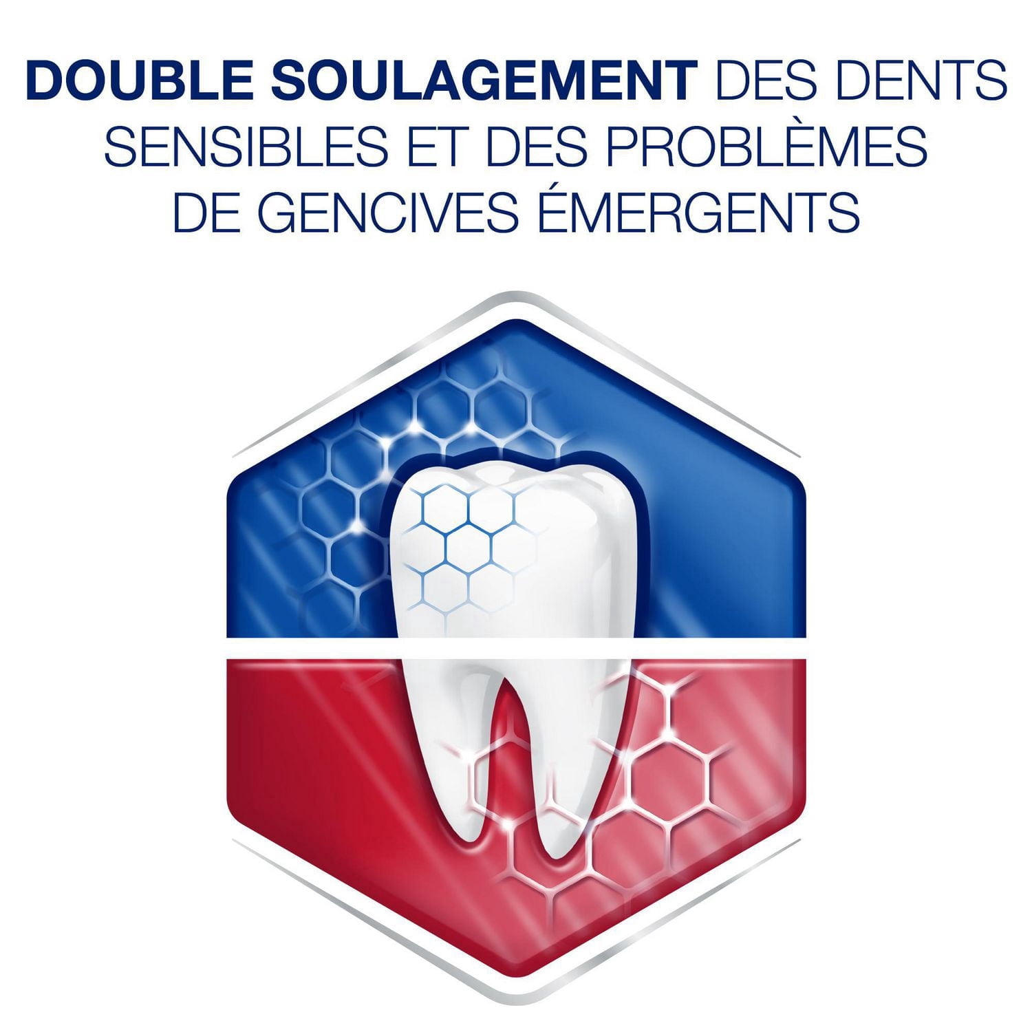 Dentifrice Sensodyne pour dents sensibles et saignement de gencives, dentifrice au fluorure, menthe, 75 mL