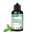 thumbnail image 1 of BENEMAX Liquid Chlorophyll Concentrate in 30mL Squeeze Bottle, 1 of 6