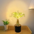 thumbnail image 4 of LED Christmas Tree Lights with USB Power – Warm White Twig Simulation Plant Night Light, 30-Bead, IP44 Rated, 4.5 V, 45 cm Tall, 4 of 7