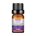 thumbnail image 1 of RKSTN Humidifiers for Bedroom Large Room Aromatherapy Plant Water Soluble Humidifier Car Aromatherapy Essential Oil 10ml Nursery & Plants Bedroom Humidifier, 1 of 1
