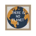 thumbnail image 1 of Tableau magnétique encadré "There is No Planet B" Hometrends, 1 of 6