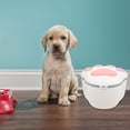 thumbnail image 1 of Large Capacity Airtight Pet Food Storage Container with Double Seal and Freshness Lock for Dry Dog and Cat Food, 1 of 3