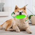 thumbnail image 4 of Durable Corn Shape Dog Toy Squeaky Bite-resistant Teeth Cleaning Perfect for Medium Large Dogs Pet Supply, 4 of 5