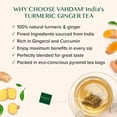 thumbnail image 3 of VAHDAM Turmeric Ginger Herbal Tea, 100 Pyramid Tea Bags | Caffeine-Free, 3 of 9