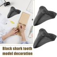 thumbnail image 3 of Liquidation Maintenant! Geine Fossilisé Naturel Megdon Requin Dent Fossile Réel Préhistorique - T1Q4, 3 of 8