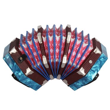 Concertina Accordion 20-Button 40-Reed Anglo Style with Carrying Bag