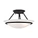thumbnail image 3 of Livex 4823-04 2 Light Bowl Semi-Flush Mount&amp;#44; Black, 3 of 4