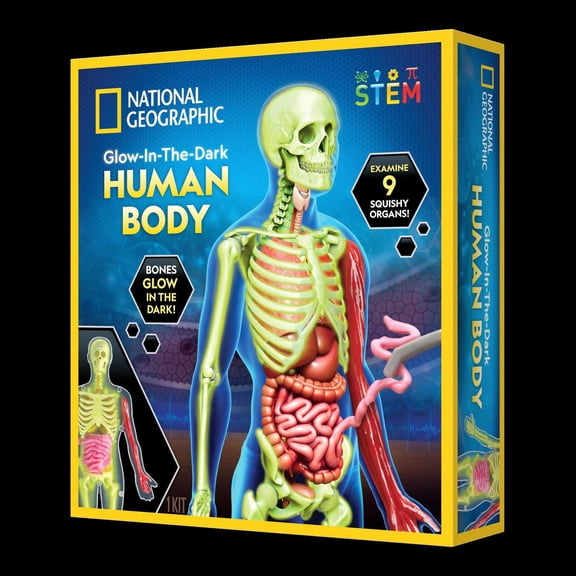 National Geographic Glow-in-the-Dark Human Body