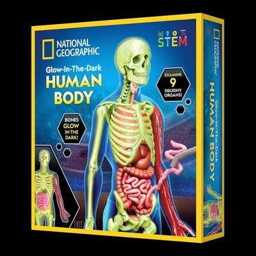 National Geographic Glow in the Dark Human Body