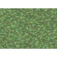 thumbnail image 1 of Ahgly Tapis Rectangulaire Lavable en Machine Vert Pois, 2 Pieds x 3 Pieds, 1 of 7