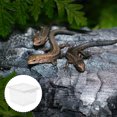 thumbnail image 3 of Boîte pour Reptiles 12 Pcs, Contenant d'Alimentation pour Animal Grimpant, Boîte d'Élevage Transparente, 3 of 7