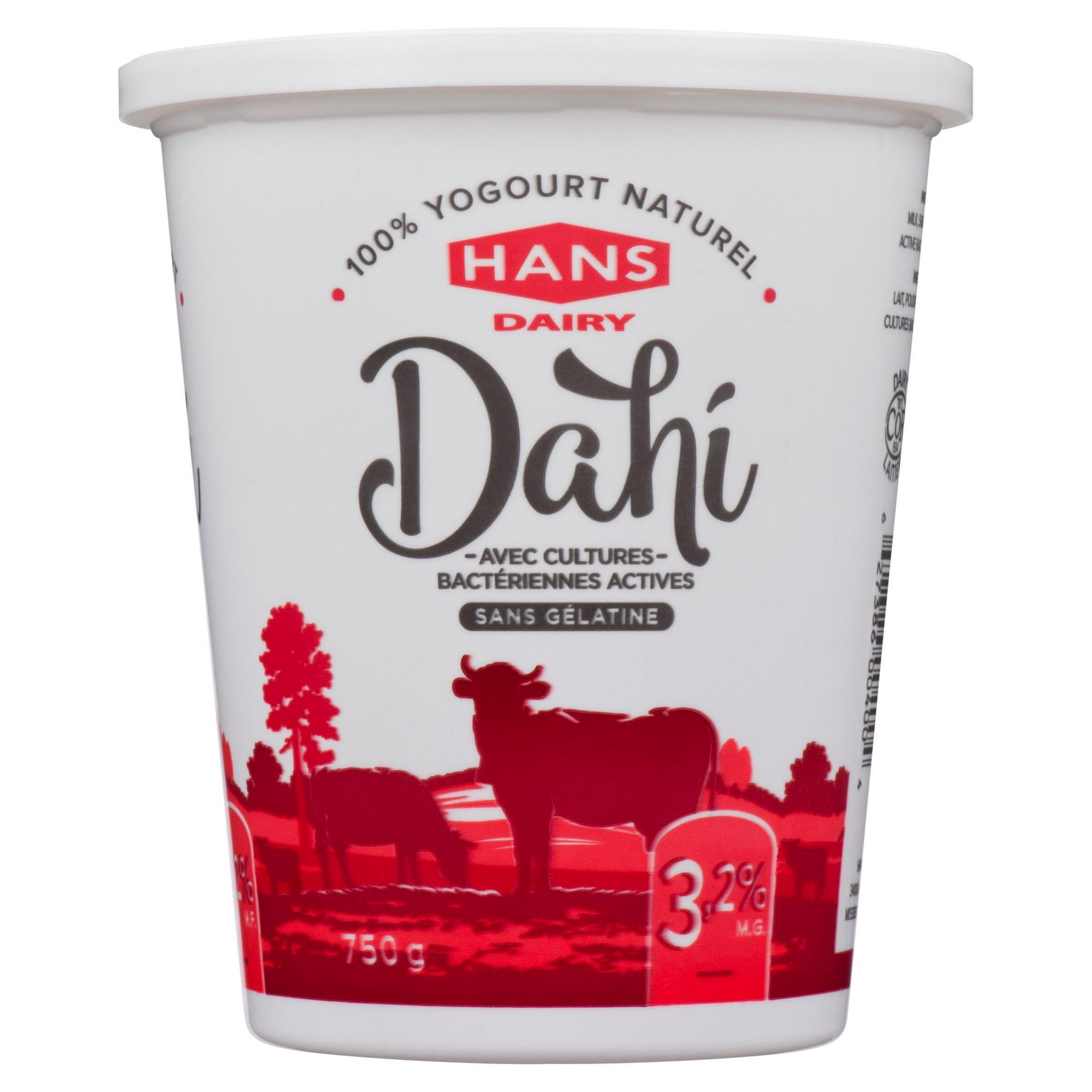 Yogourt nature Dahi de Hans Dairy à 3,2 % M.G.