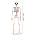 thumbnail image 3 of MesaSe Halloween Skeletons Full Body Posable Joints Skeletons For Halloween Party Decor 2PCS, 3 of 6