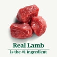 thumbnail image 4 of Nutro Natural Choice Adult Dry Dog Food Lamb & Brown Rice Recipe 5.44kg, 4 of 18