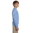 thumbnail image 4 of Hanes ComfortBlend EcoSmart Chandail à Col Rond pour Garçon, TP, Bleu Pâle, 4 of 4