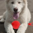 thumbnail image 3 of SNNROO Indestructible Rope Dog Toys Elastic Ball Sports Bite Resistant Solid Puppy for Small Dogs Pets Supplies, 3 of 6