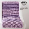 thumbnail image 4 of Bernat Blanket Yarn Mystery Box, 300GM, 4 of 4