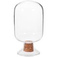 thumbnail image 1 of Glass Match Holder Match Container Transparent Laboratory Specimen Bottle, 1 of 9