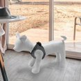 thumbnail image 3 of 2pcs Dog Mannequin Standing Position for Pet Shop Display Clothing Apparel, 3 of 8